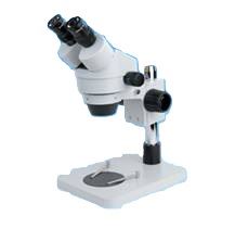 Click to open large image ASI - Zoom Stereo Microscope